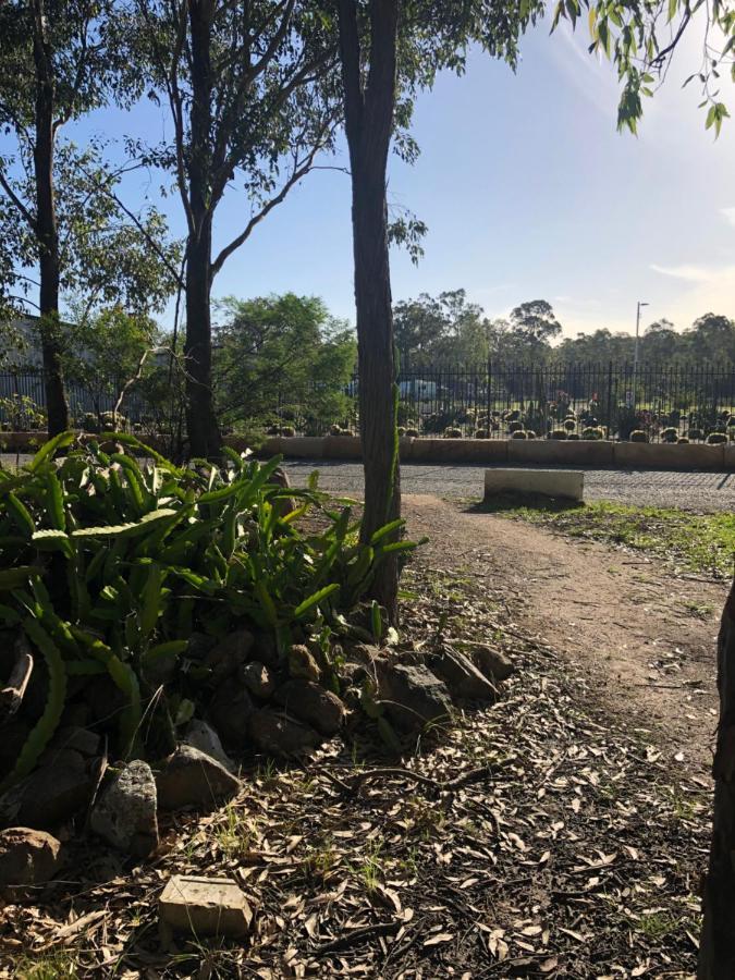 Australian Motor Home Tourist Park Twelve Mile Creek Karuah 外观 照片