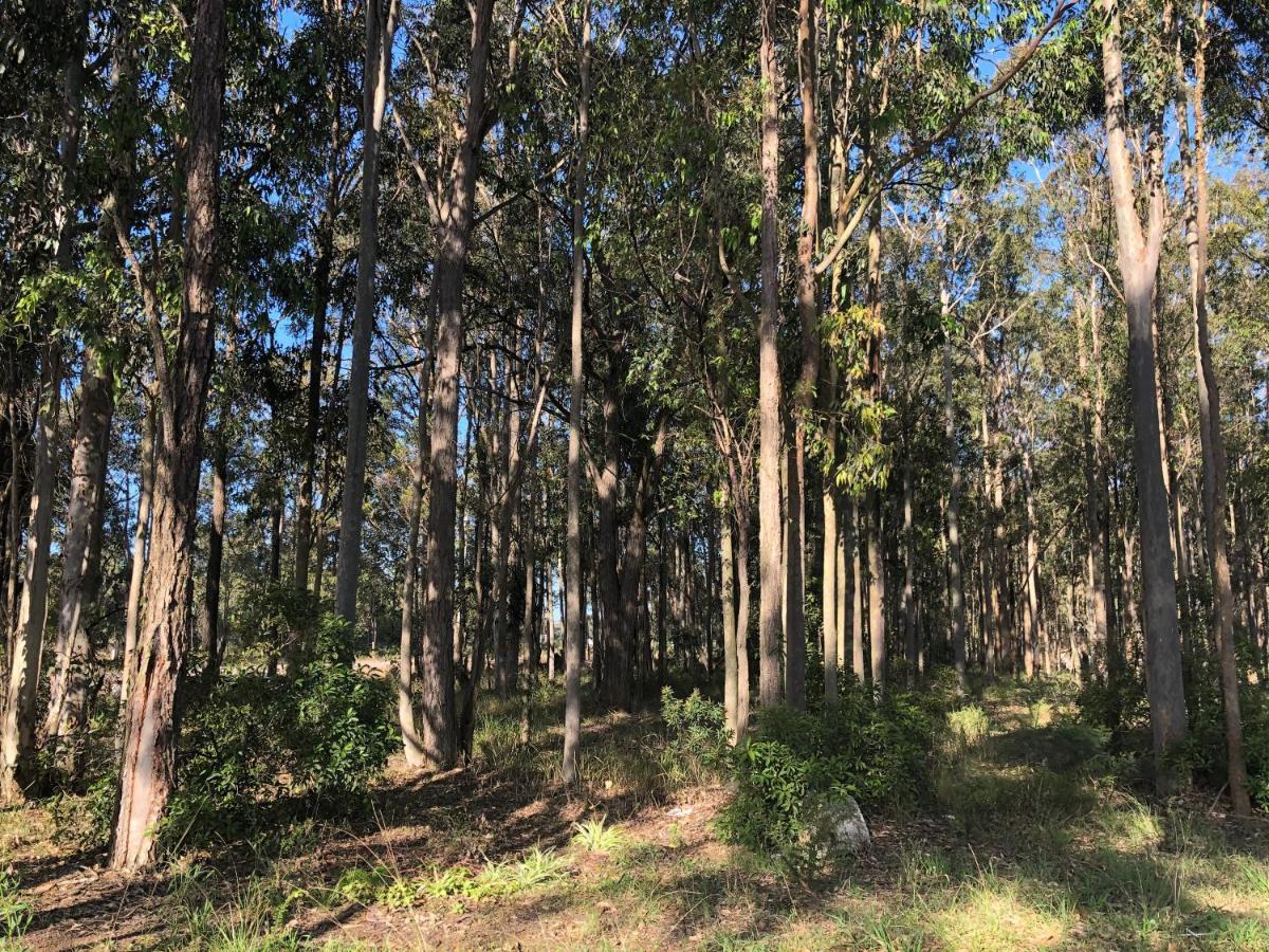 Australian Motor Home Tourist Park Twelve Mile Creek Karuah 外观 照片